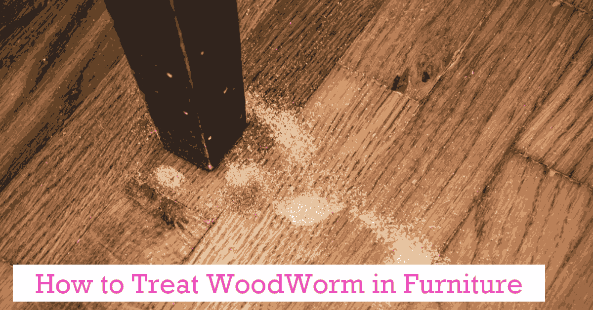 How to treat woodworm in furniture