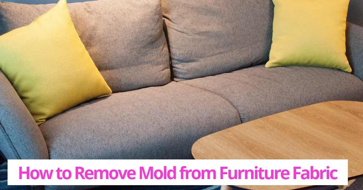 how-to-remove-mold-from-furniture-fabric1
