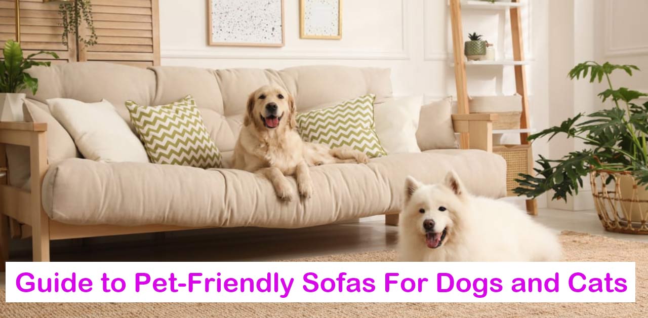 Guide-to-Pet-Friendly-Sofas-For-Dogs-and-Cats