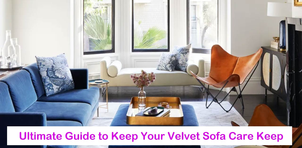 The-Ultimate-Guide-to-Keep-Your-Velvet-Sofa-Care-Keep
